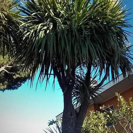 Sole E Mare Alojamento de Acomodação e Pequeno-almoço Ladispoli