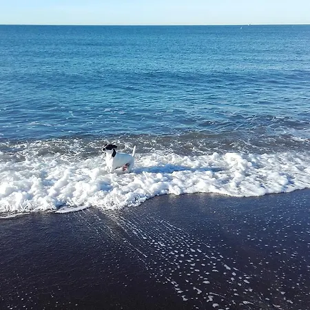 Sole E Mare *