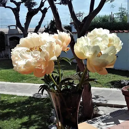 Sole E Mare Ladispoli